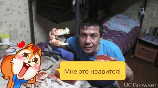  8778013  Snaik, 55 ,    