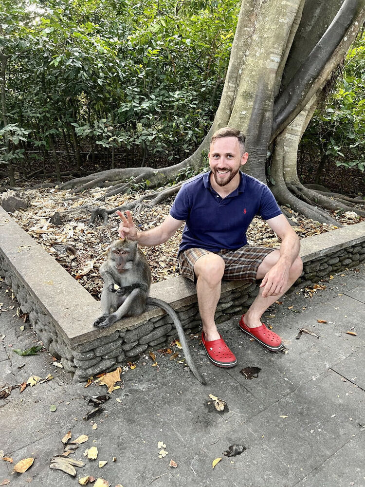 ���� 39136283 ������� ����, 36 ���, ���� ���������� � ������