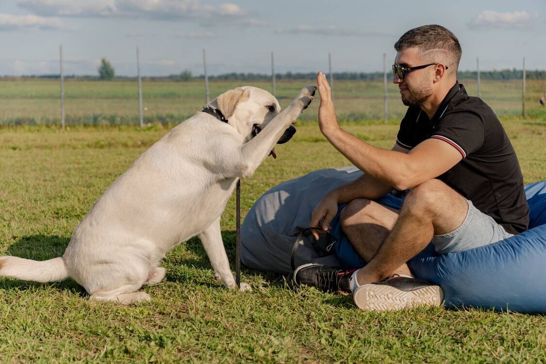 ���� 55971573 ������� Viktor, 34 ����, ���� ���������� � �����-����������