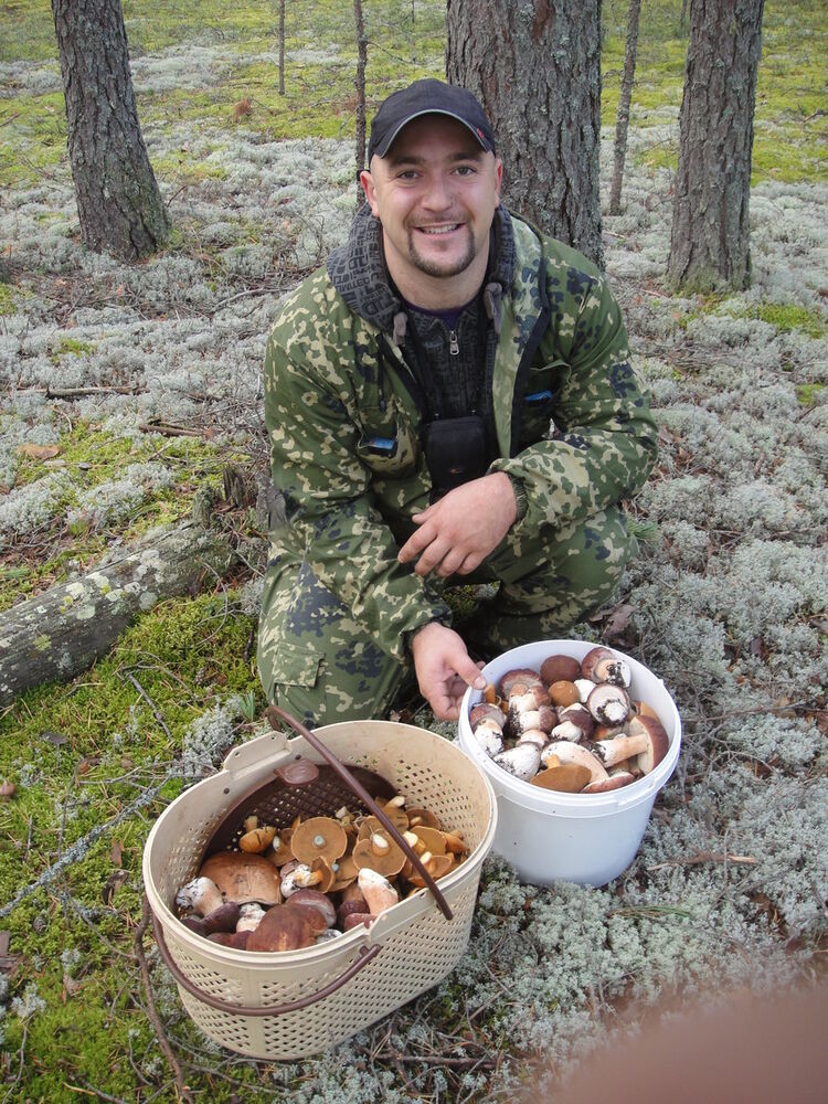 ���� 4262313 ������� �����, 38 ���, ���� ���������� � �����