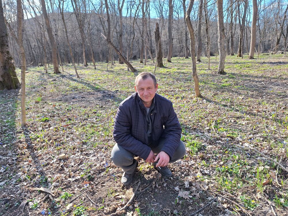  --,   , 46 ,   ,   , 