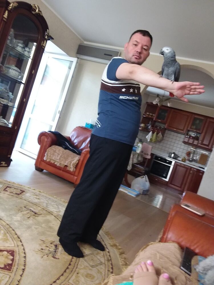 ���� 19508313 ������� �����, 43 ����, ���� ���������� � �����