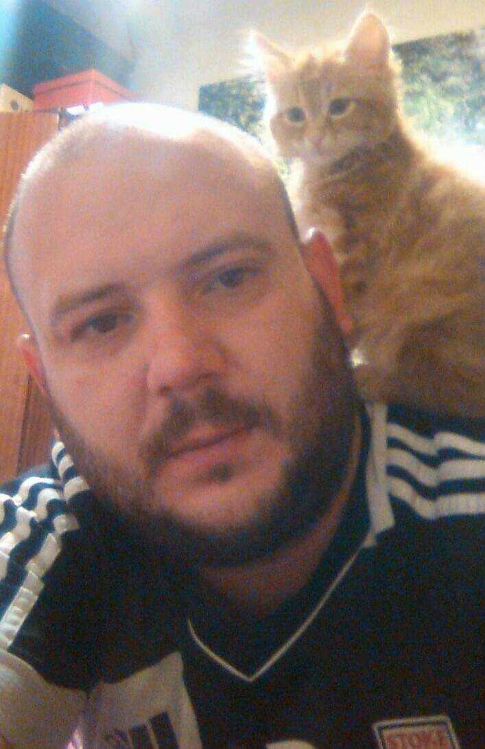 ���� 23536503 ������� ����, 40 ���, ���� ���������� � ���������