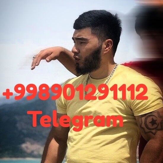  19285393  Dimi_aka, 31 ,    