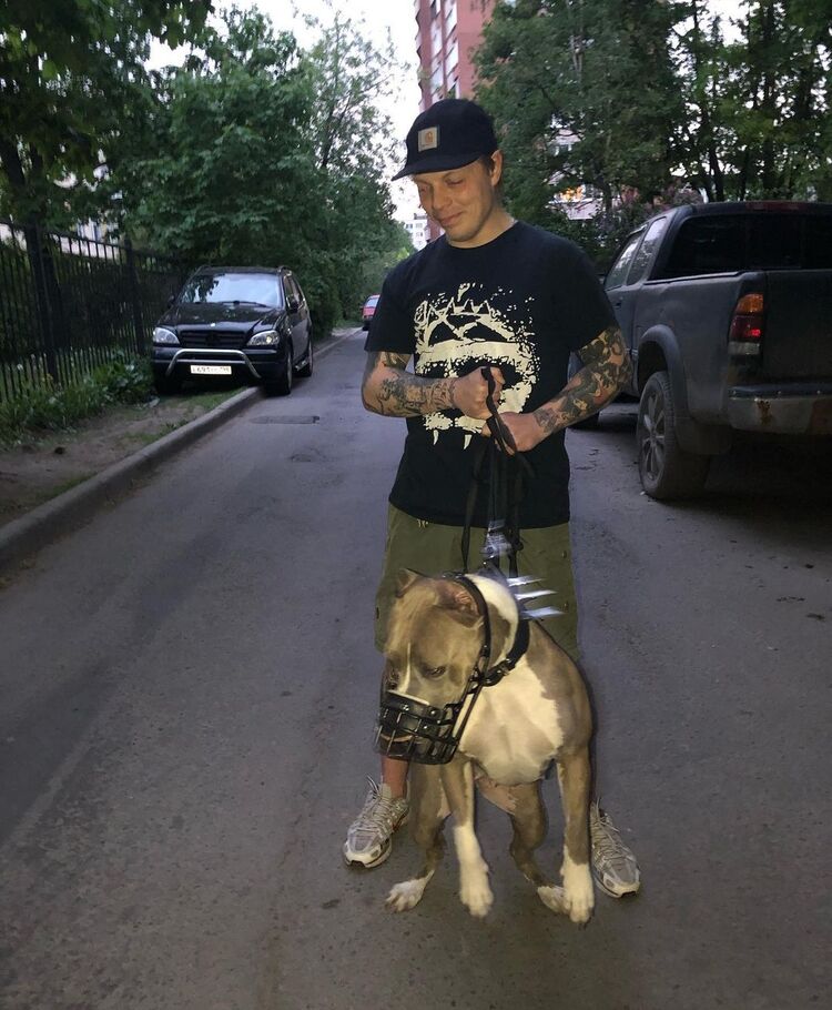 ���� 40756053 ������� ������, 33 ����, ���� ���������� � �����-����������