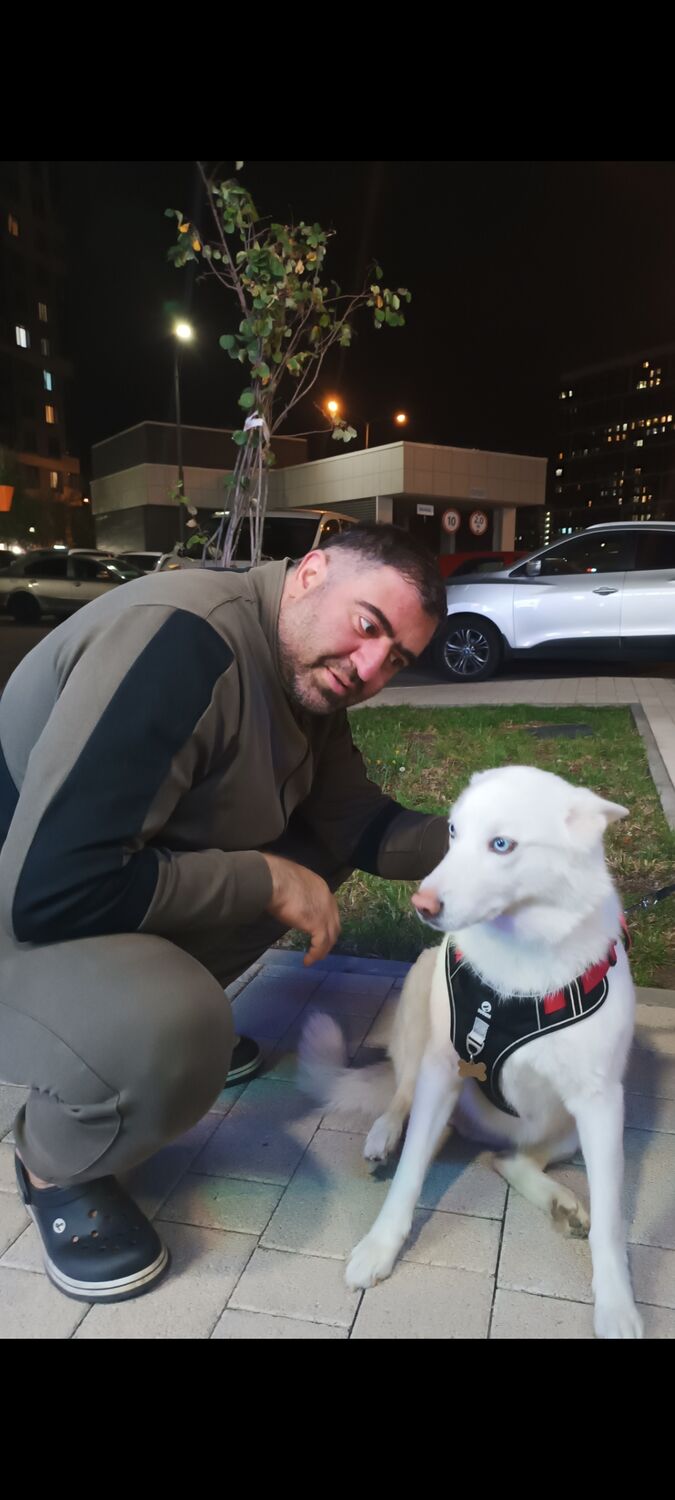  54097233  , 40 ,    -