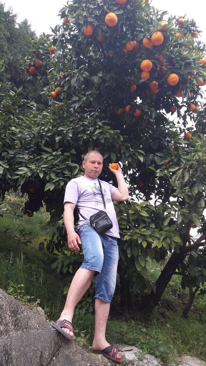 ���������� ������, ���� ������� �������, 46 ���, ������������ ��� ������