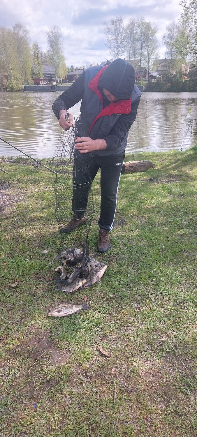 ���������� ������, ���� ������� ������, 52 ����, ������������ ��� ������, ����� � ���������