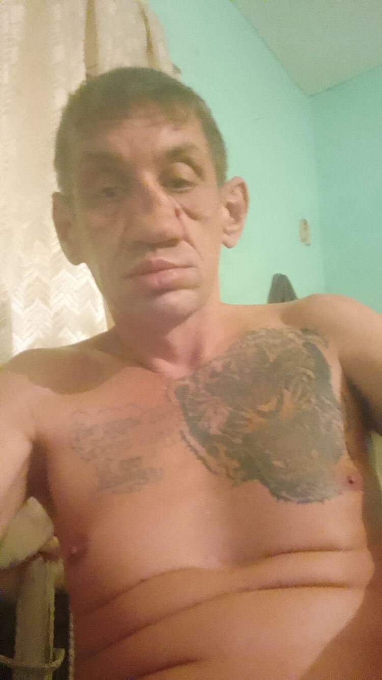  49485843  , 44 ,    