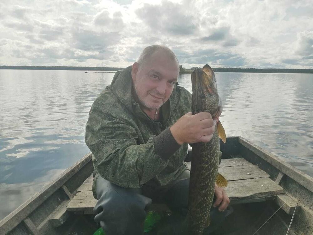 ���� 39852533 ������� ������, 55 ���, ���� ���������� � �����-����������