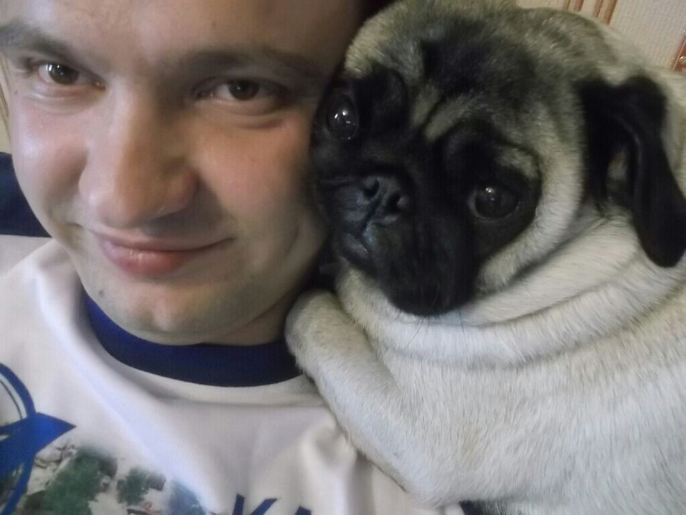 ���� 42167773 ������� ��������, 40 ���, ���� ���������� � ����������