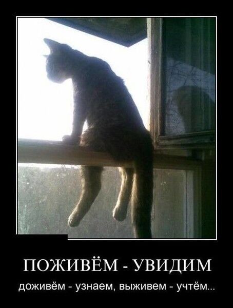 ���������� ������, ���� ������� ������, 43 ����, ������������ ��� ������, ����� � ���������, c�������� ���������