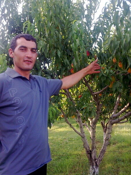  ,   Vahag, 41 ,   ,   , c 