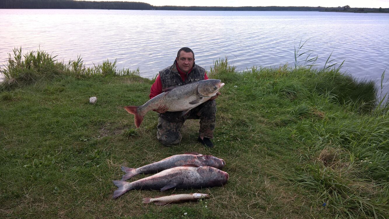 ���������� �����, ���� ������� ���������, 49 ���, ������������ ��� ������, ����� � ���������, c�������� ���������, ���������