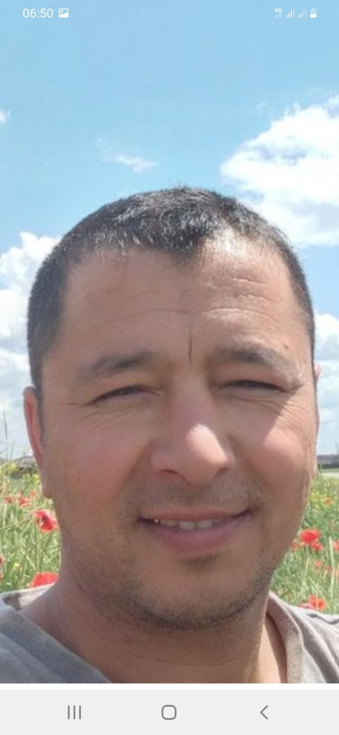  43838053  , 38 ,    -