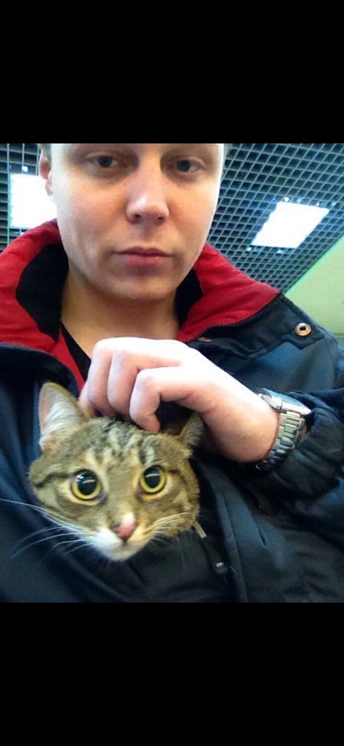 ���������� ��������, ���� ������� �������, 31 ���, ������������ ��� ������, ����� � ���������