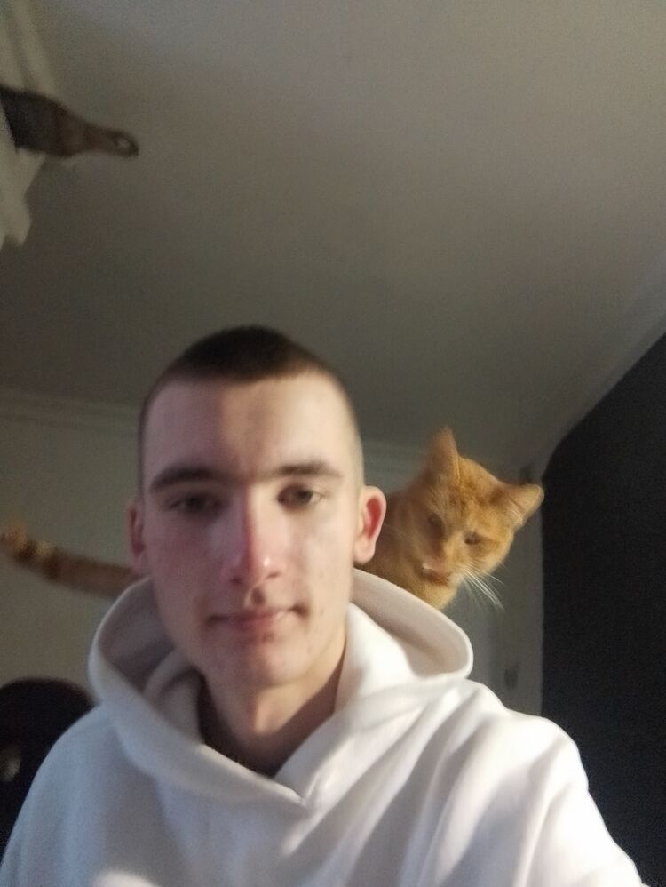 ���� 55082133 ����� �����, 18 ���, ���� ���������� � ����������