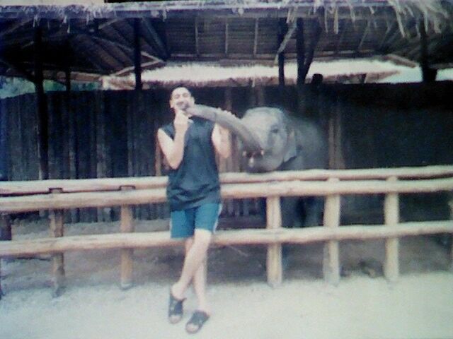 ,   PORSCHE, 46 ,   
