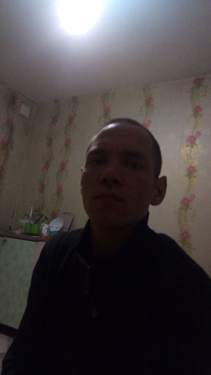  43922443  , 31 ,    