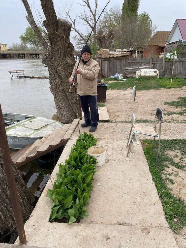 ���������� �����������, ���� ������� ��������, 69 ���, ������������ 