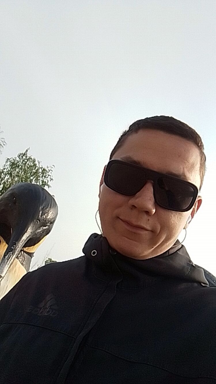  34401463  , 31 ,    