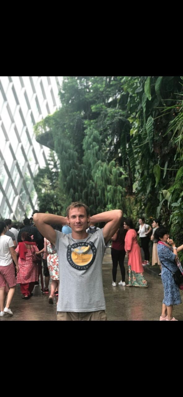  24059733  , 31 ,    --