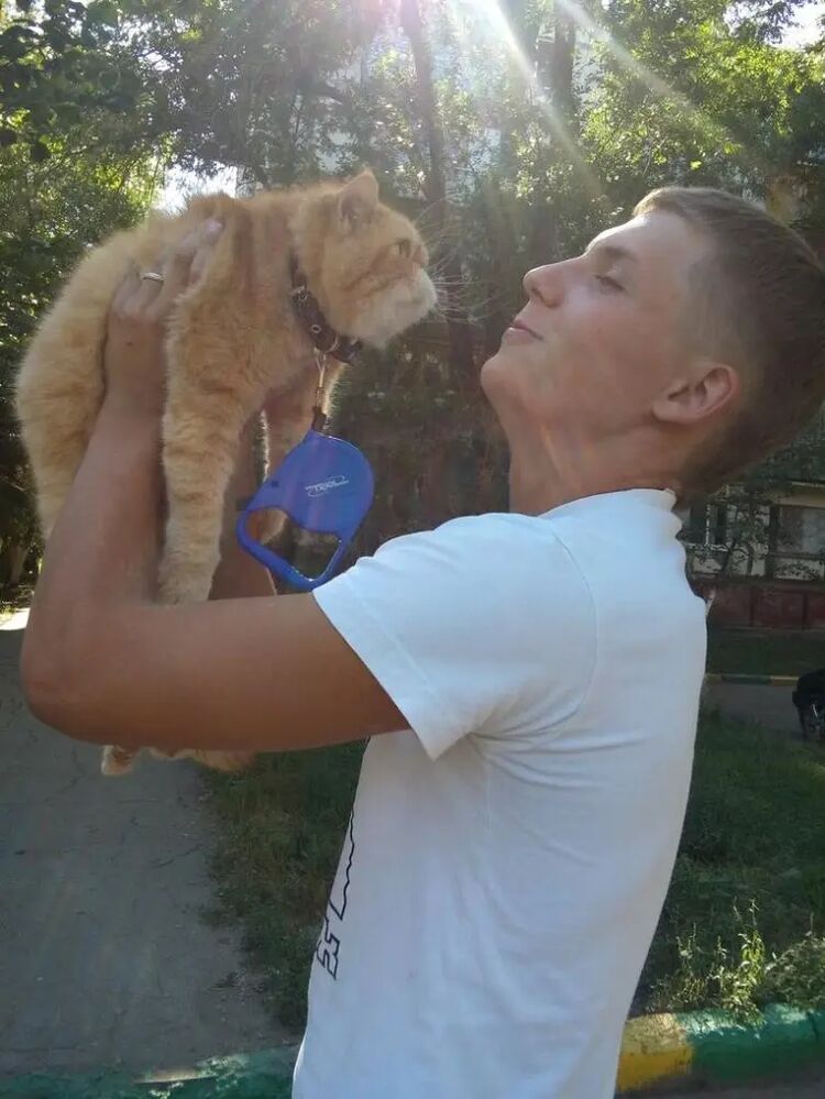 ���� 52011633 ������� ����, 26 ���, ���� ���������� � �����-����������