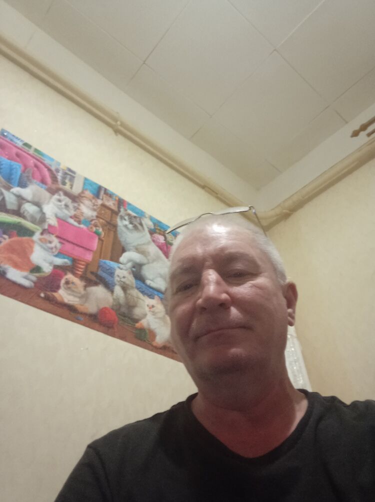  42415673  , 52 ,    