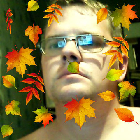 ���� 54999353 ������� �����, 41 ���, ���� ���������� � ����������