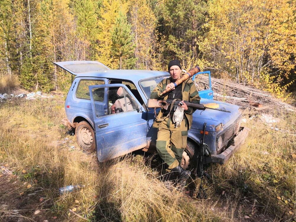  54198713  , 43 ,    -