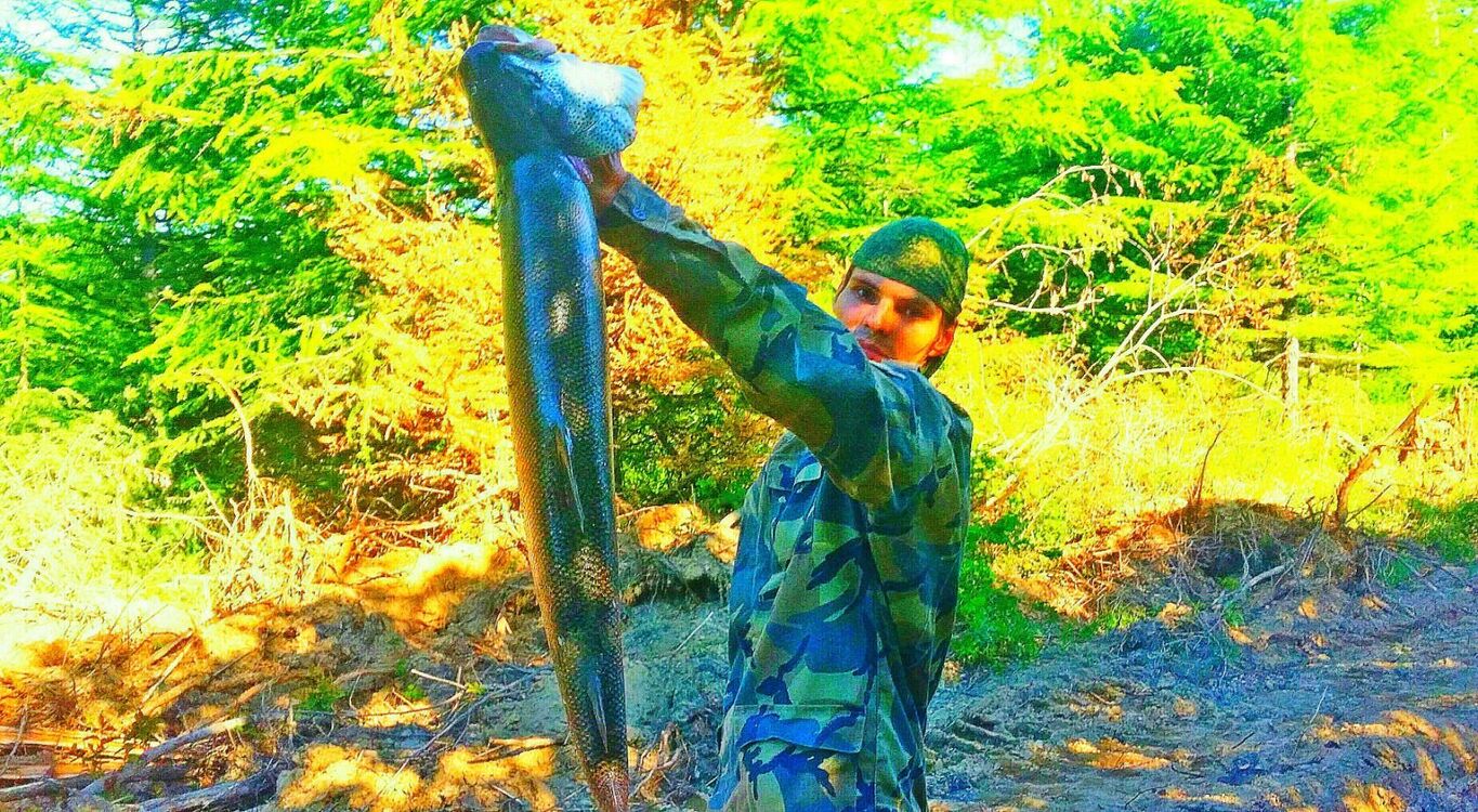  30918853  , 34 ,    -