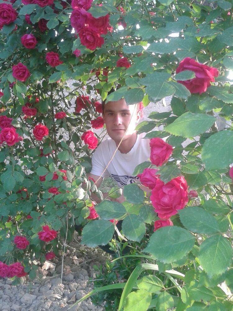 ���������� �������, ���� ������� �������, 28 ���, ������������ ��� ������, ����� � ���������, c�������� ���������