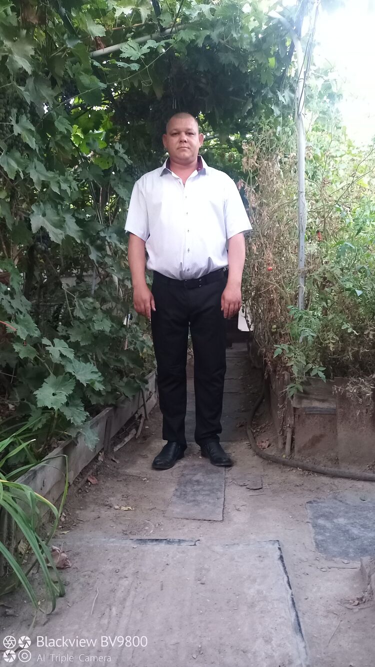  46146343  , 37 ,    
