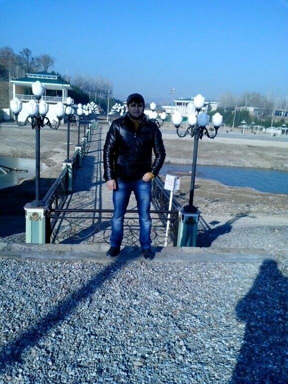  8309543  , 37 ,    -