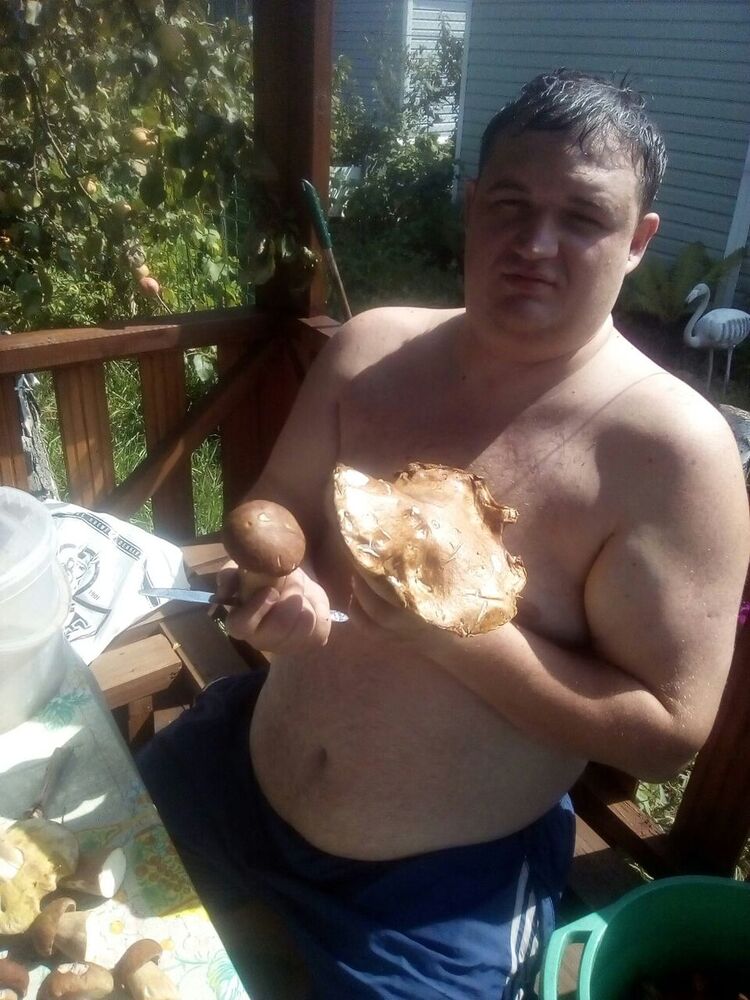 ���������� ������, ���� ������� ����������, 40 ���, ������������ ��� ������, ����� � ���������, c�������� ���������, ���������