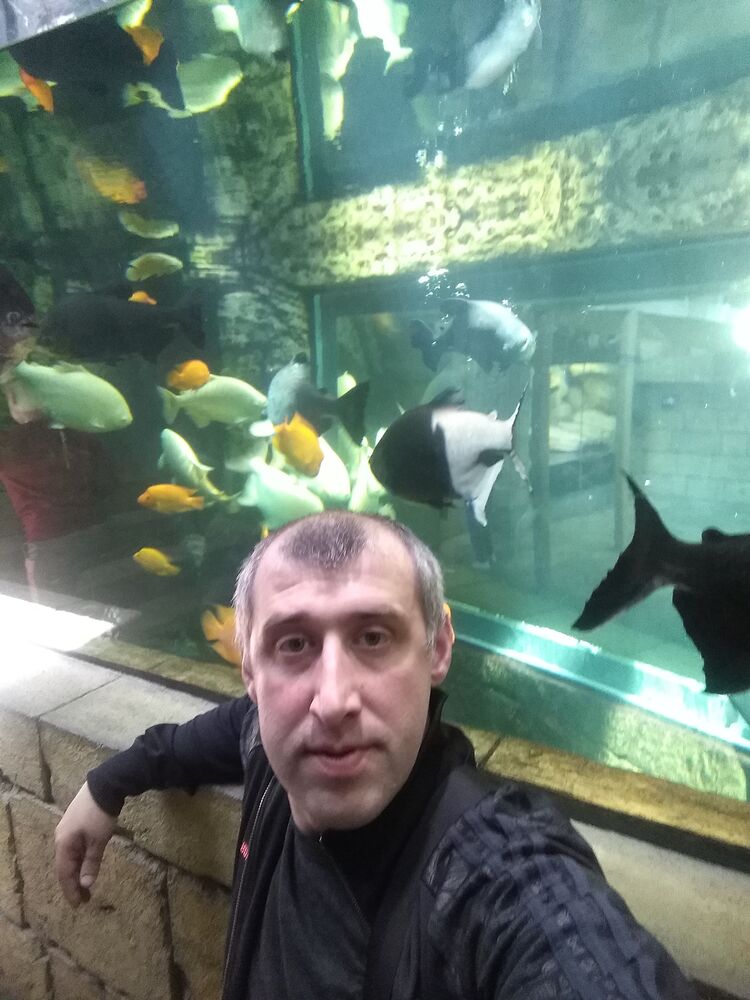 ���������� ������������, ���� ������� ������, 38 ���, ������������ ��� ������, ����� � ���������, c�������� ���������