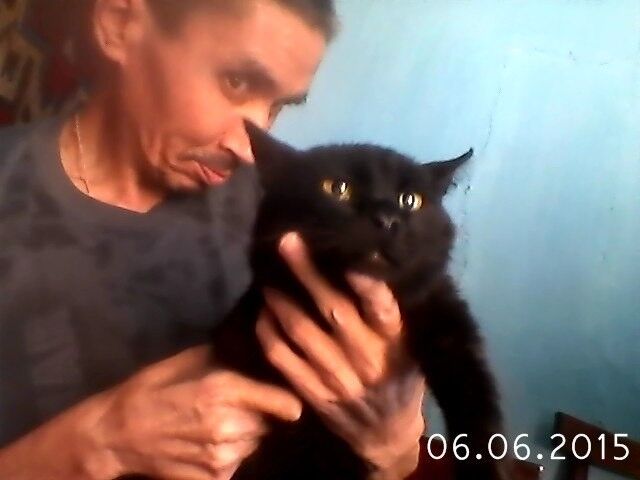  ,   , 56 ,   
