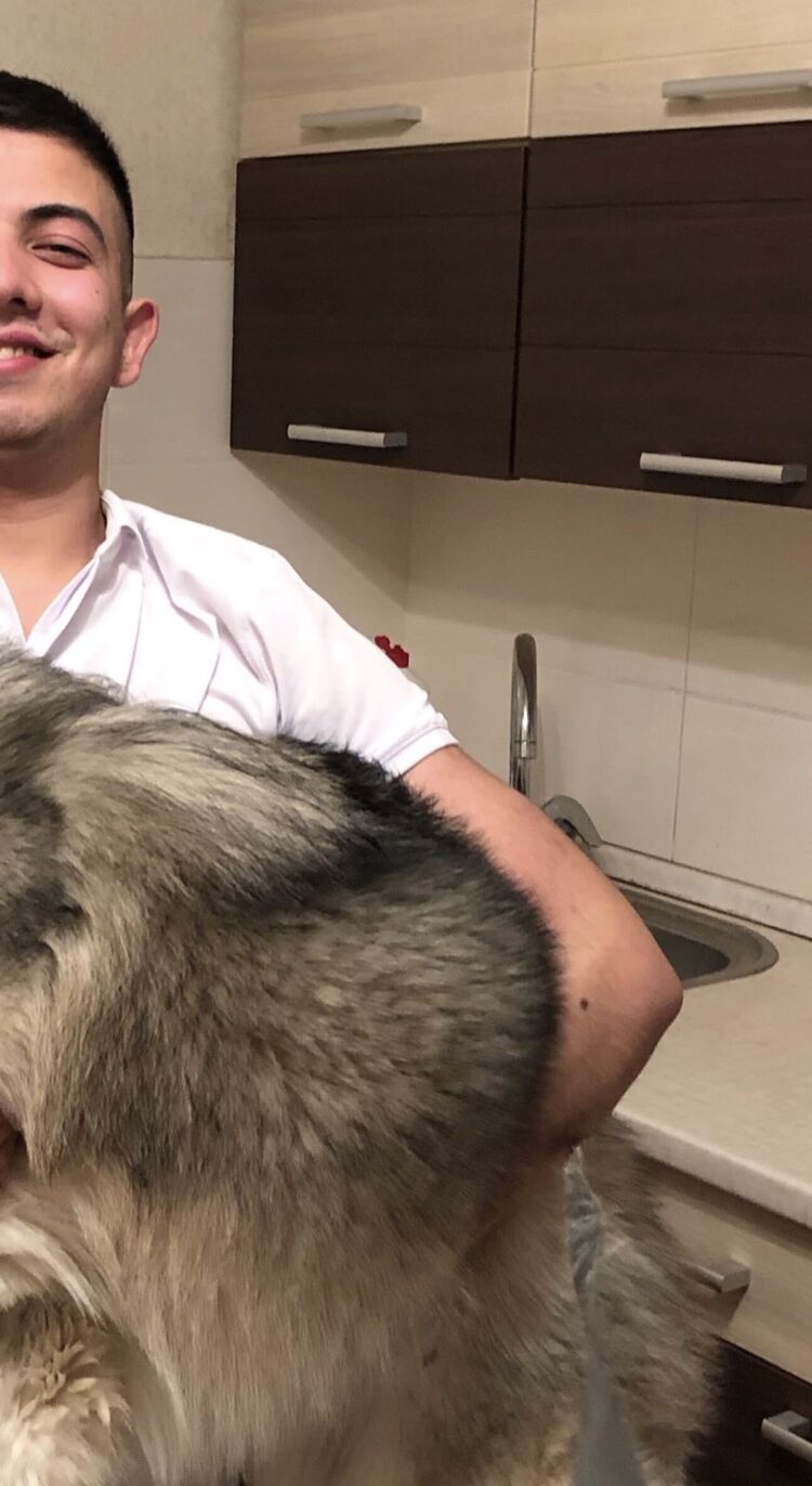 ���� 56198023 ������� ����, 31 ���, ���� ���������� � ������