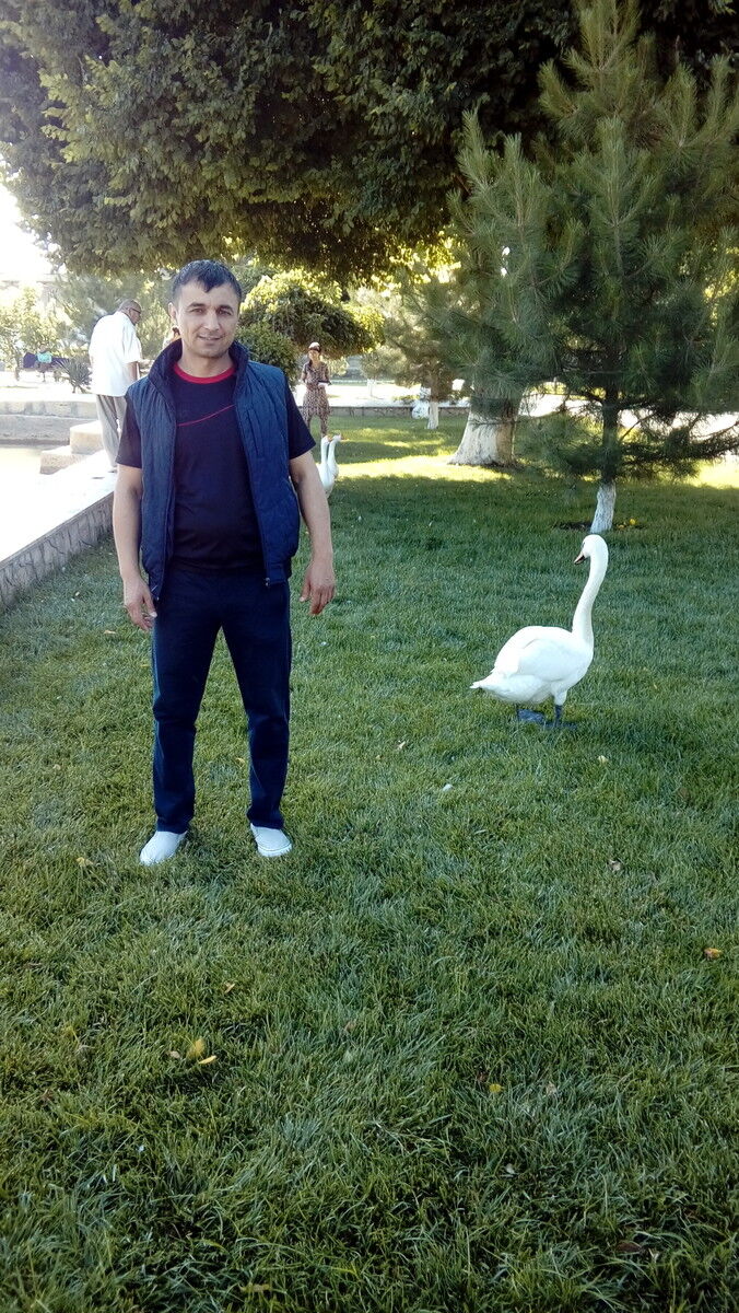 ���������� ������, ���� ������� ����, 46 ���, ������������ ��� ������, ����� � ���������, c�������� ���������