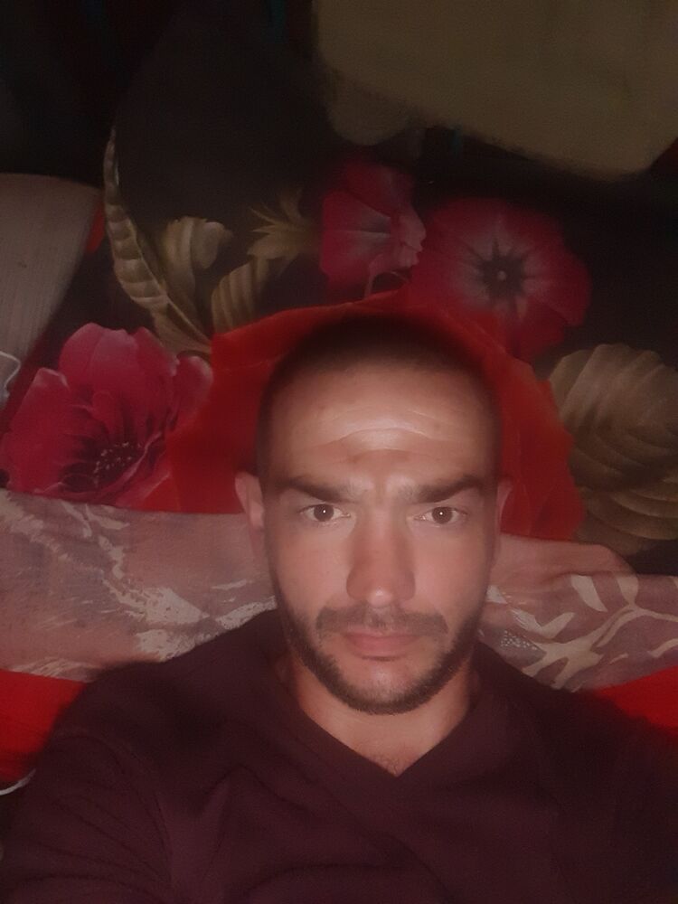  43842343  , 38 ,    