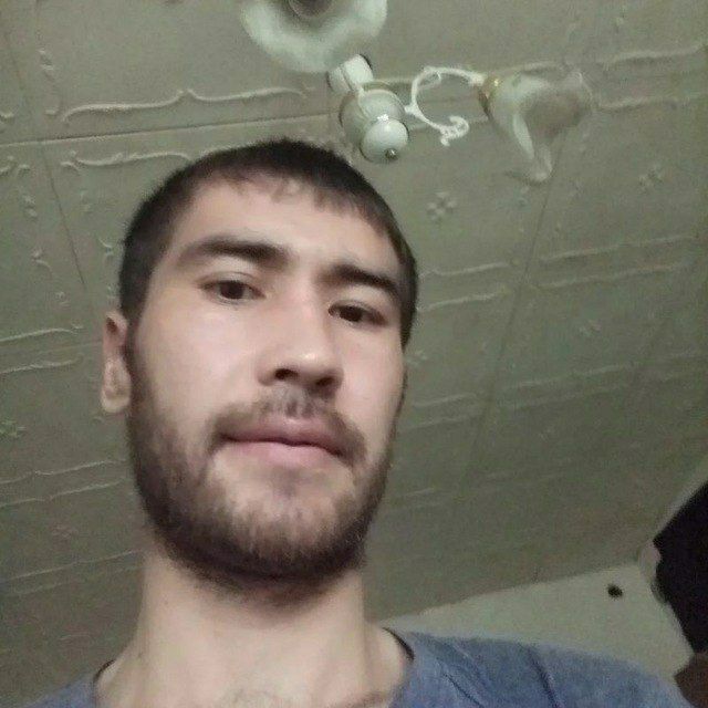  -,   , 33 ,   ,   