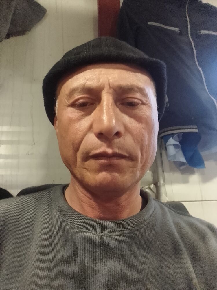 43137173  , 55 ,    