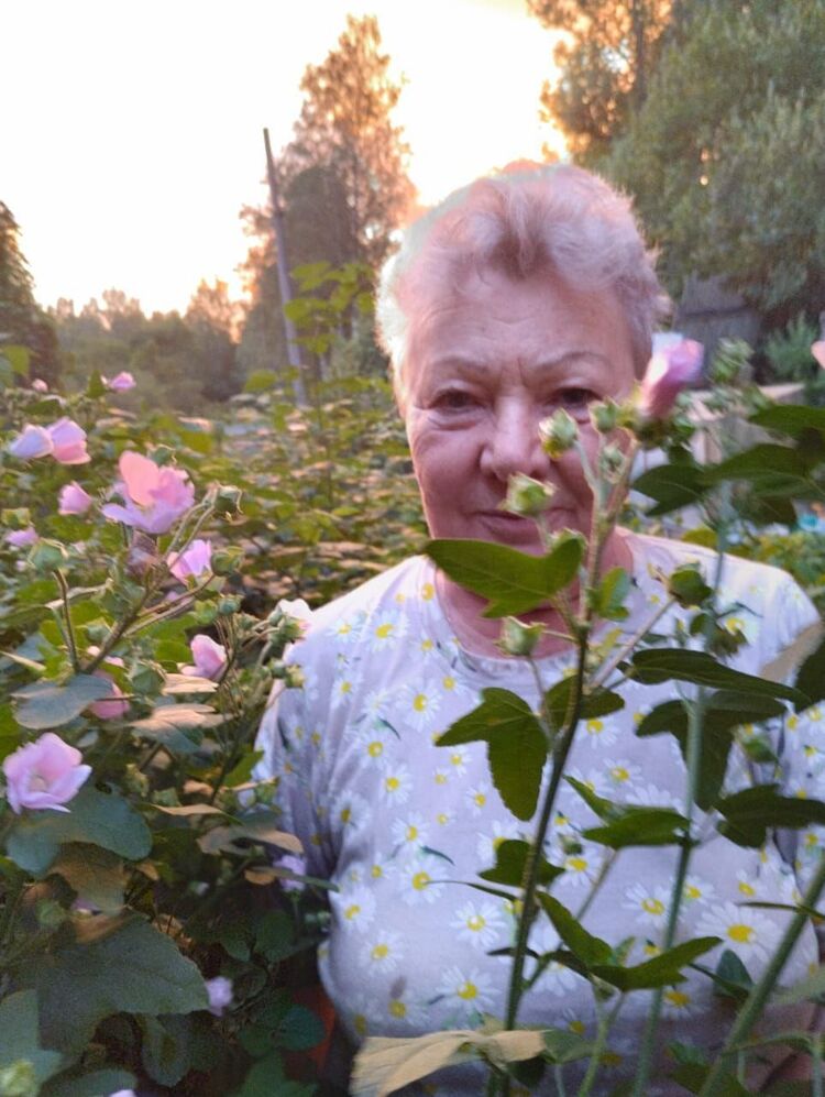  54055803  , 69 ,    -