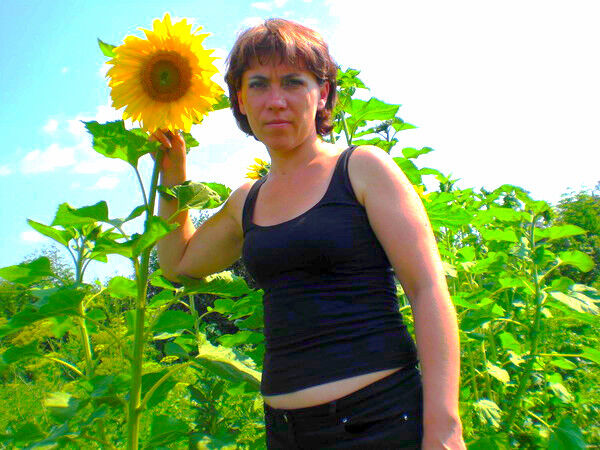 ���������� ���������, ���� ������� ������, 51 ���, ������������ ��� ������, ����� � ���������, c�������� ���������