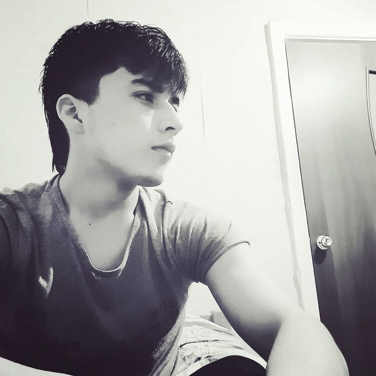 ���� 25390193 ������� ������, 29 ���, ���� ���������� � ���������