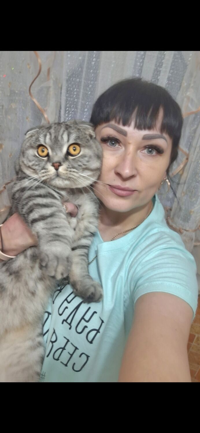 ���������� ���������, ���� ������� Marishka, 40 ���, ������������ ��� ������, ����� � ���������