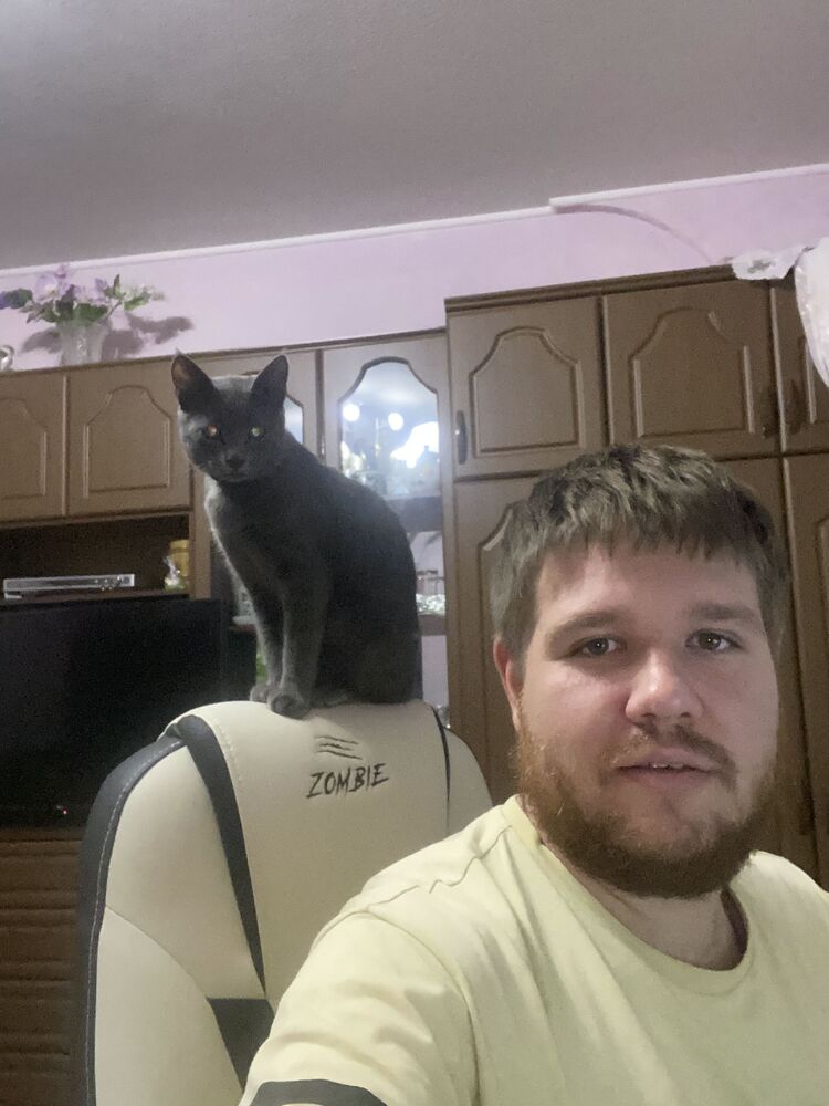 ���������� ������������, ���� ������� ��������, 35 ���, ������������ ��� ����� � ���������, c�������� ���������, ���������