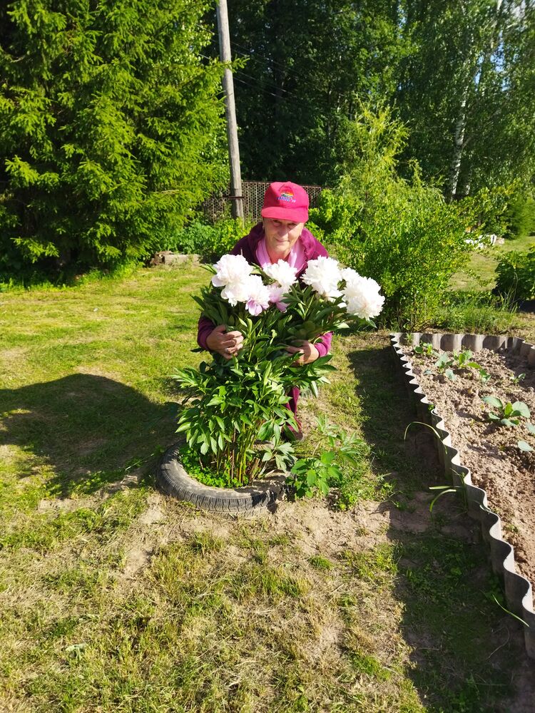  ,   , 63 ,   ,   