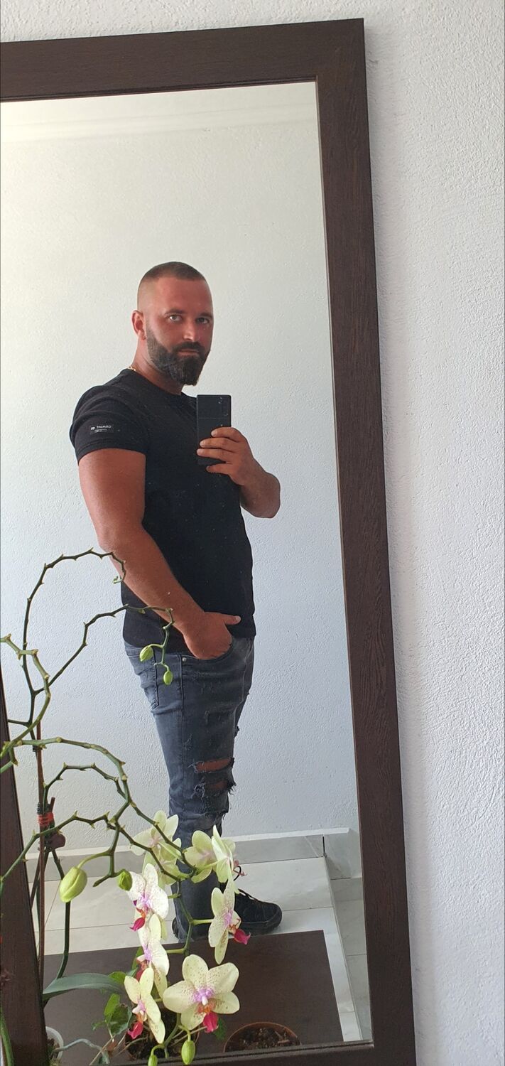  29767063  , 31 ,    