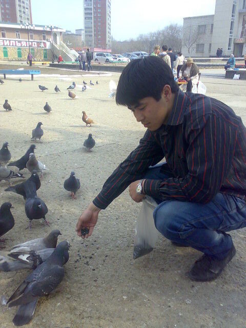  ,   , 33 ,   ,   , c 